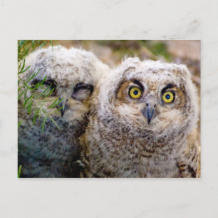 Zu müde für ein Fotoshooting Postkarte