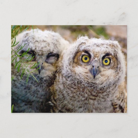 Zu müde für ein Fotoshooting Postkarte (Vorderseite)
