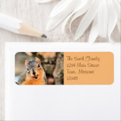 Zu niedlich (Insitu)