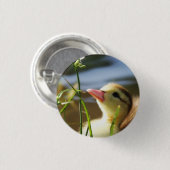 ZU NIEDLICH!!!!!! BUTTON (Vorne & Hinten)