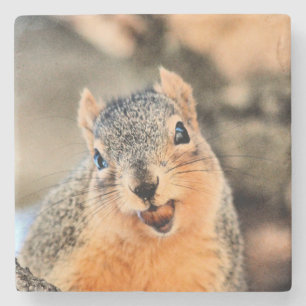 Zu niedlich steinuntersetzer