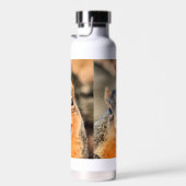 Zu niedlich trinkflasche (Rechts)