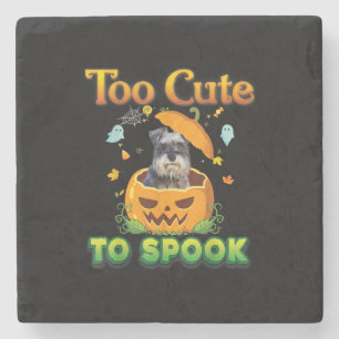 Zu Niedlich, um Schnauzer Hund Halloween Pumpkin z Steinuntersetzer