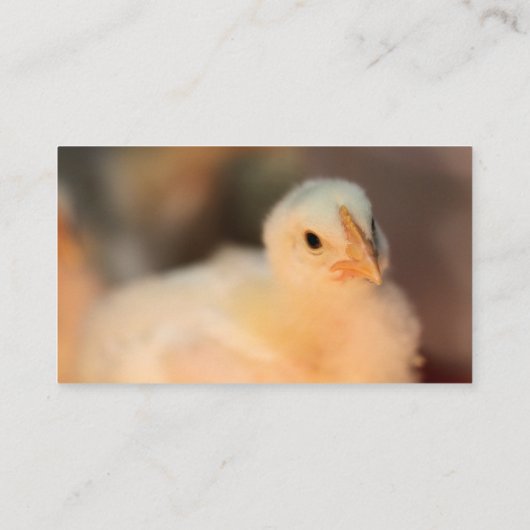 Zu niedlich visitenkarte (Rückseite)