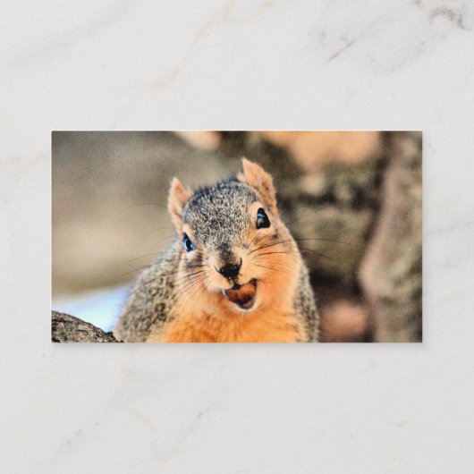 Zu niedlich visitenkarte (Rückseite)