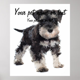 Zu Niedlicher Welpe Miniatur Schnauzer Hund Poster