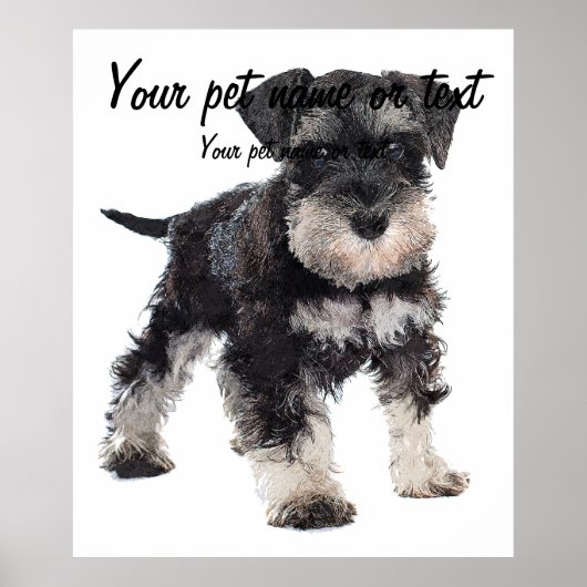 Zu Niedlicher Welpe Miniatur Schnauzer Hund Poster (Vorne)