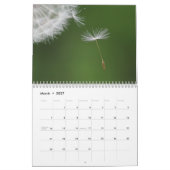 Zu Saatgut: Ein anderer Blick auf den Kalender der (Mär 2027)