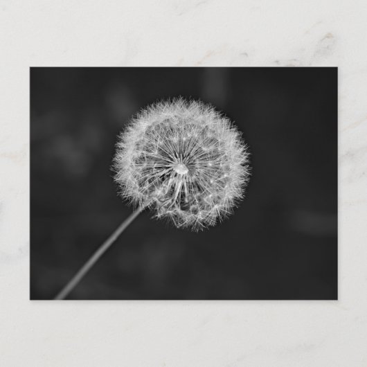 Zu Saatgut übergegangen Postkarte (Vorderseite)