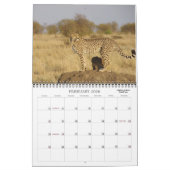 ZU SAFARI IN AFRIKA KALENDER (Feb 2026)
