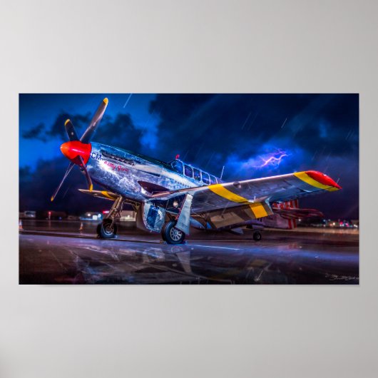 Zu Stormy zum Fliegen Poster (Vorne)