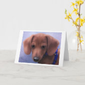 Zu süß zum aushalten karte (Gelbe Blume)