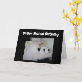 ZU UNSEREM ***GEGENSEITIGEN GEBURTSTAG*** SPASS KARTE (Gelbe Blume)