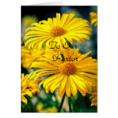 Zu unserem Pfarrer "Lady" (Vorne)