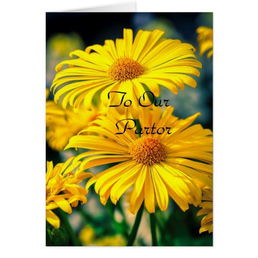 Zu unserem Pfarrer "Lady" (Vorne)