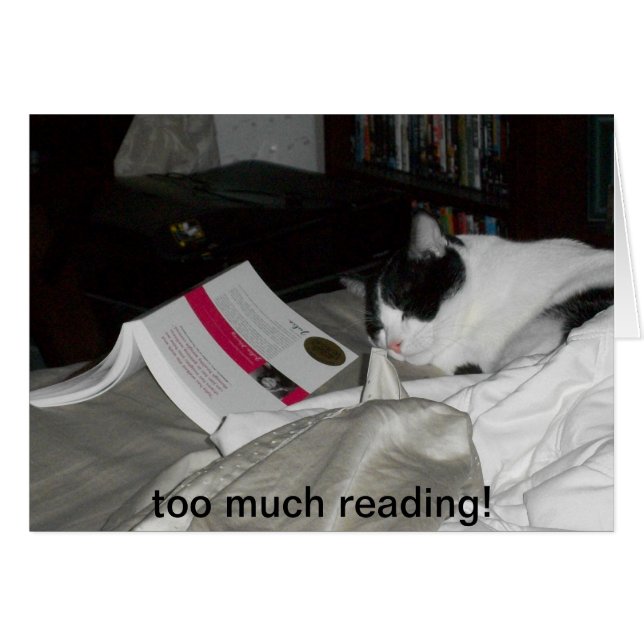 zu viel Lesung (Vorderseite (Horizontal))