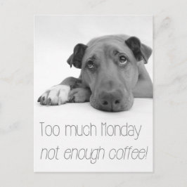 Zu viel Montag, zu wenig Kaffee - Schlafensein Hun Postkarte