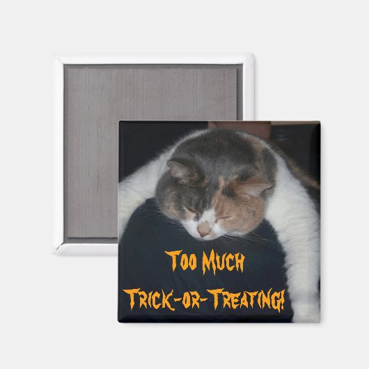 Zu viel Trick-or-Treating! Magnet (Vorderseite/Rückseite)