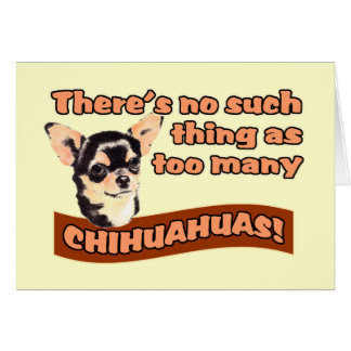 "Zu viele Chihuahua "