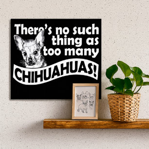 Zu viele Chihuahuas Poster