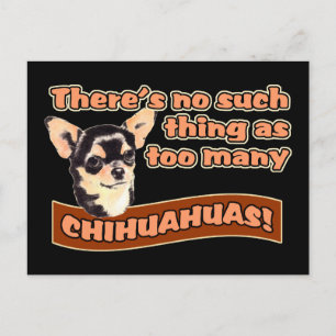 "Zu viele Chihuahuas" Postkarte