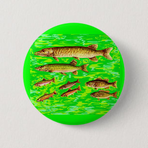zu viele Fische im Meer Button