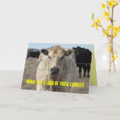 Zu viele Kerzen Funny OTH Glücklich Geburtstag Karte (Gelbe Blume)