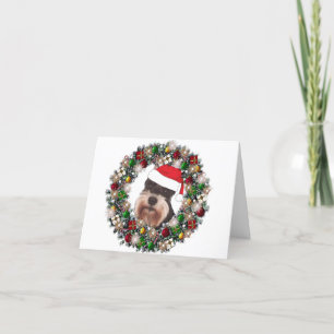 Zu Weihnachten - Miniatur Schnauzer