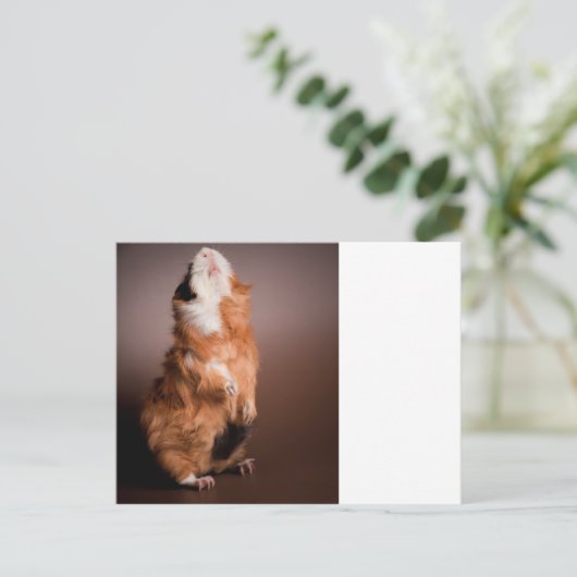 zubereitete Guinea, Postkarte (Stehend Vorderseite)