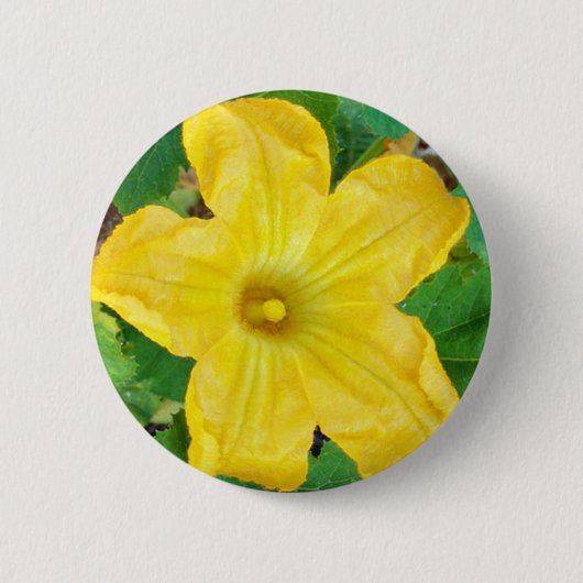 Zucchini-Blume Button (Vorderseite)