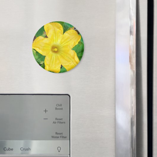 Zucchini-Blume Magnet (In Situ (Kühlschrank))