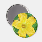 Zucchini-Blume Magnet (Vorderseite/Rückseite)