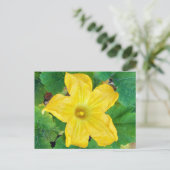 Zucchini-Blume Postkarte (Stehend Vorderseite)