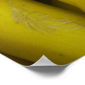 Zucchini Poster (Ecke)