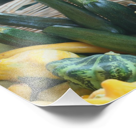 Zucchini Sommer Squash Gourds Gemüse 8x10 Fotodruck (Ecke)