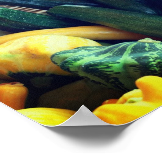 Zucchini Sommer Squash Gourds Gemüse Poster (Ecke)