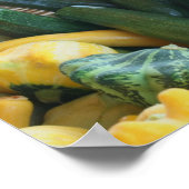 Zucchini Sommer Squash Gourds Gemüse Poster (Ecke)