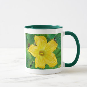 Zucchiniblüte Tasse