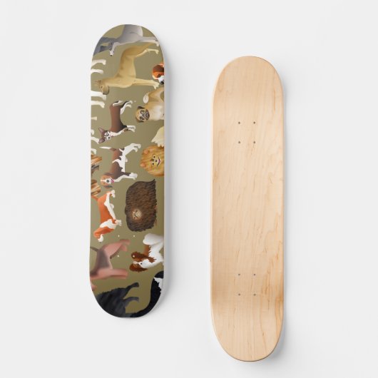 Zucht- Hundetapete Skateboard (Vorderseite)
