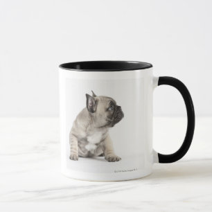 Zucht- Welpe Tasse