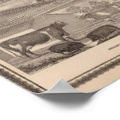 Zuchtbetrieb Poster (Ecke)