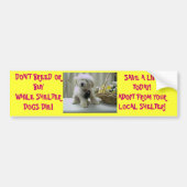 ZÜCHTEN SIE NICHT ODER KAUFEN SIE! ADOPTIEREN Sie Autoaufkleber (Vorne)