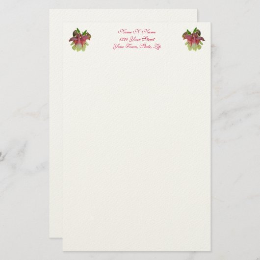 Zuchtkolbenbriefe Briefpapier (Vorne/Hinten)