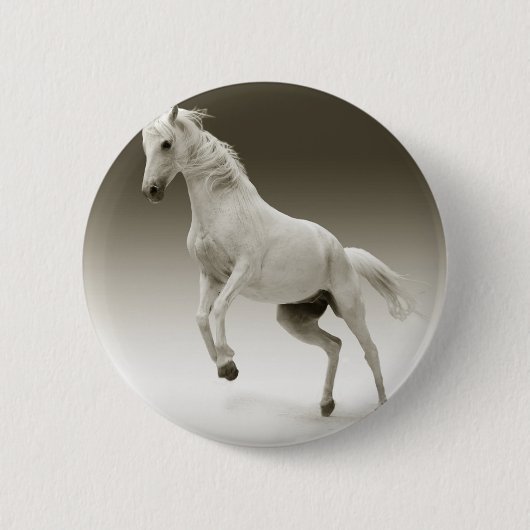 Zuchtpferd Button (Vorderseite)