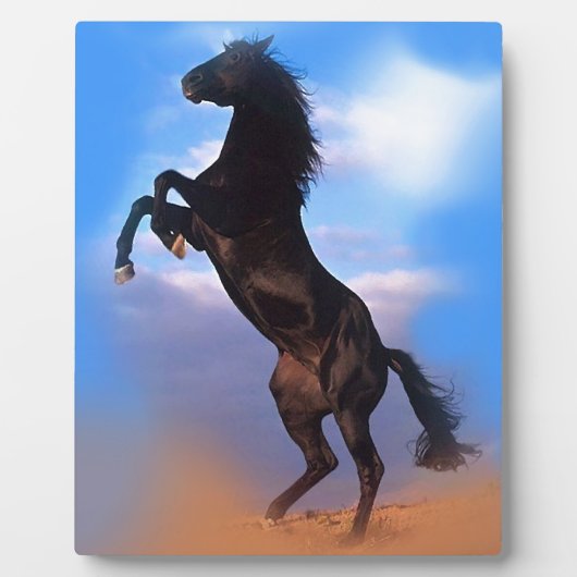 Zuchtpferd Fotoplatte (Vorderseite)