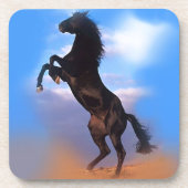 Zuchtpferd Getränkeuntersetzer (Vorderseite)