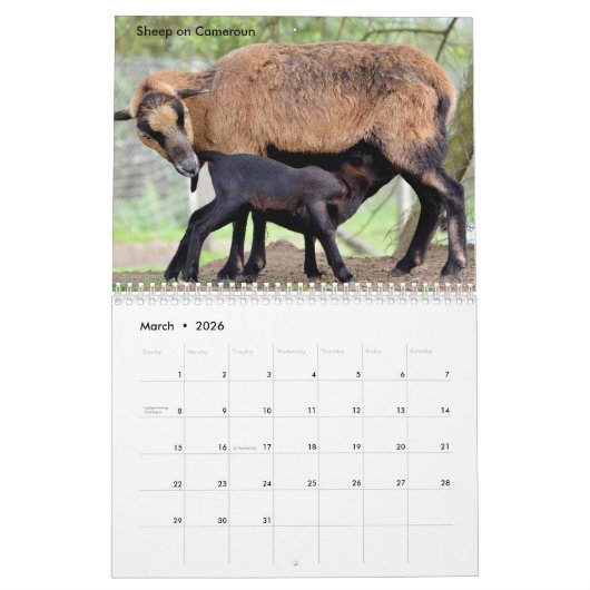 Zuchttierkalender Kalender (Mär 2026)