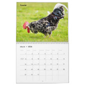 Zuchttierkalender Kalender (Mär 2026)