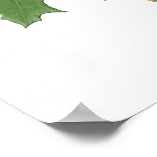 Zucker-Ahornbaum Fairy Holding Leaf Poster (Ecke)