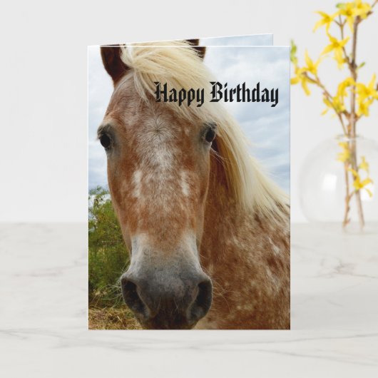 Zucker Das Appaloosa Pferd Geburtstag Karte (Gelbe Blume)